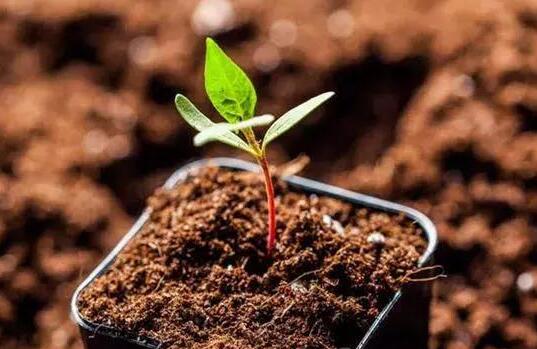 土壤微量元素測(cè)定儀